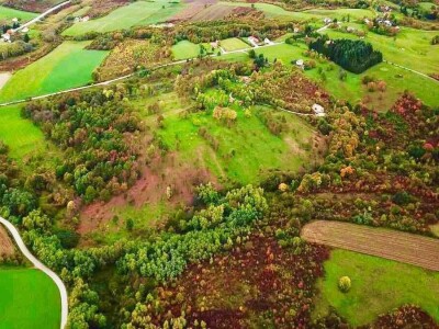 Terra Pomarium obitelji Uremović