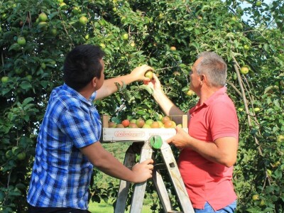 Terra Pomarium obitelji Uremović