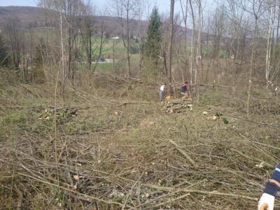 Terra Pomarium obitelji Uremović