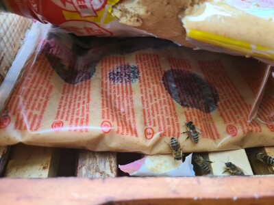 Teška godina za pčelare Teška godina za pčelare