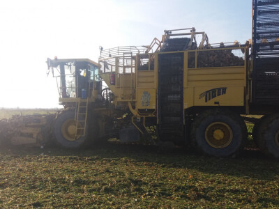 Vađenje šećerne repe Vađenje šećerne repe