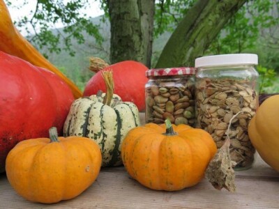 Tikve i koštice iz OPG-a Plazibat