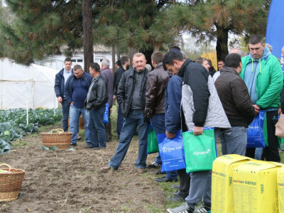Timac ago - Dan polja kupusa