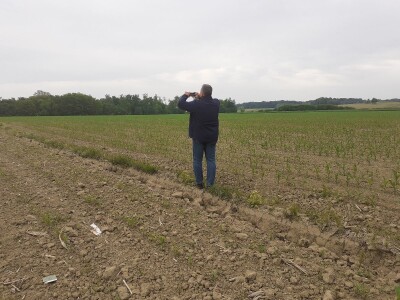 Timac Agro Timac Agro