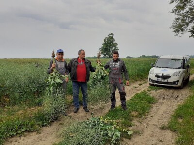 Timac Agro Timac Agro