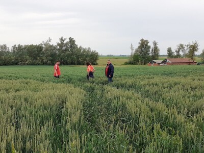Timac Agro Timac Agro
