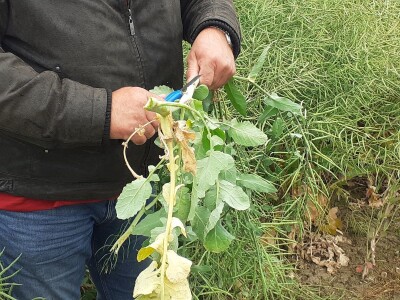 Timac Agro Timac Agro