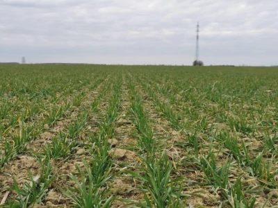 Timac Agro