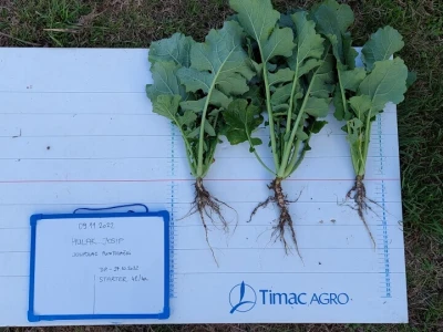 Timac Agro