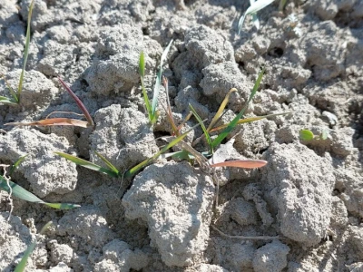 Timac Agro