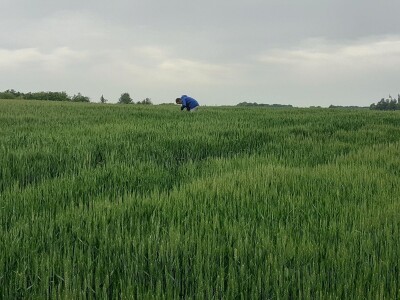 Timac Agro Timac Agro