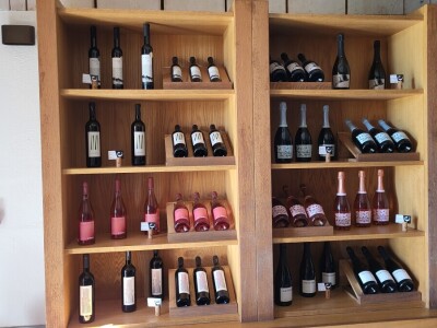 Timac Agro i Enosophia