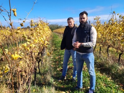 Timac Agro i Enosophia