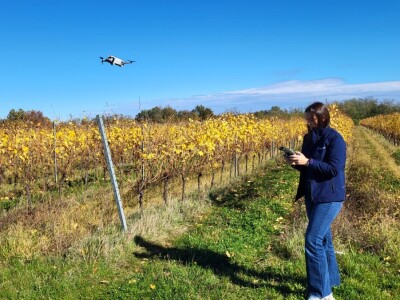 Timac Agro i Enosophia