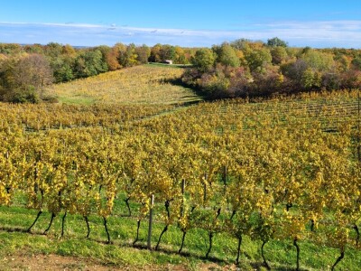 Timac Agro i Enosophia