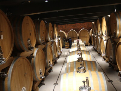 Timac Agro i Enosophia