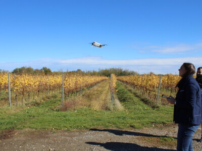 Timac Agro i Enosophia