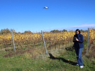 Timac Agro i Enosophia