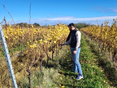 Timac Agro i Enosophia