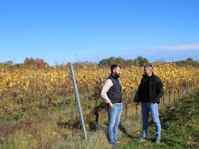 Timac Agro i Enosophia