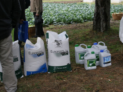 Timac ago - Dan polja kupusa