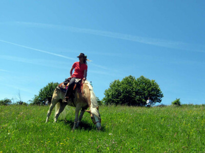 Tina Boče na livadama Šumadije