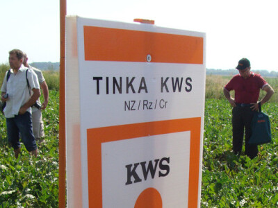 Dan polja KWS šećerne repe