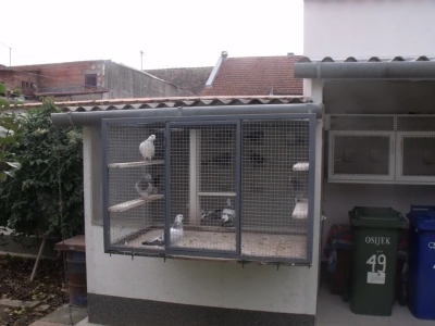 važno je da mogu gledati okolicu