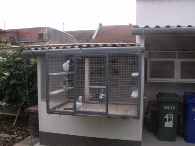 važno je da mogu gledati okolicu