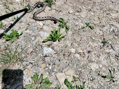 Tiškovac - zaboravljeno selo