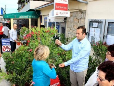 Podjela sadnica u Tisnom