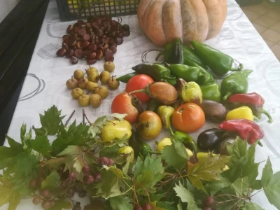 Tjestenina Lina