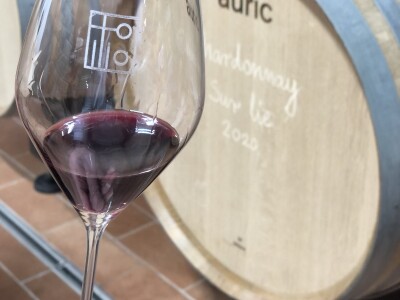 Vinarija Tomislava Tolušića