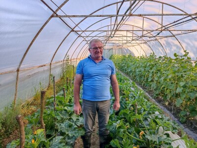Tomica Japarić, proizvodnja povrća.