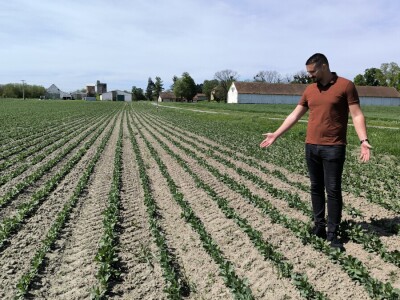 Tomislav Medved, NutriS Farm