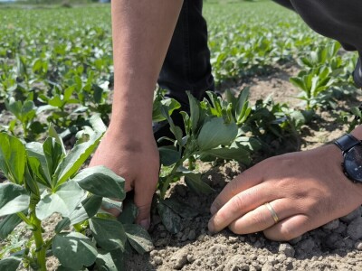 Tomislav Medved, NutriS Farm