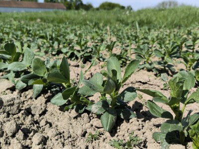 Tomislav Medved, NutriS Farm