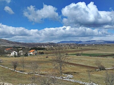 Tomislavgrad jedan od najvećih proizvođača kravljeg mlijeka u FBiH