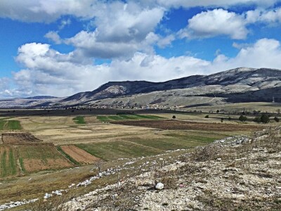 Tomislavgrad jedan od najvećih proizvođača kravljeg mlijeka u FBiH