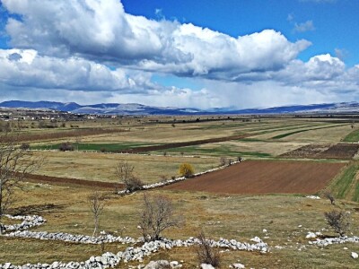 Tomislavgrad jedan od najvećih proizvođača kravljeg mlijeka u FBiH