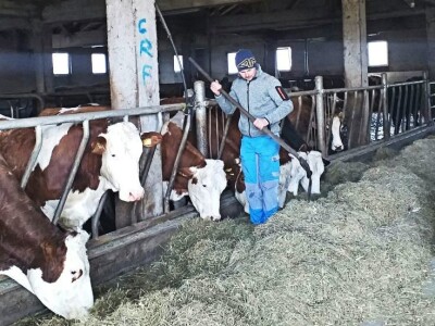 Tomislavgrad jedan od najvećih proizvođača kravljeg mlijeka u FBiH