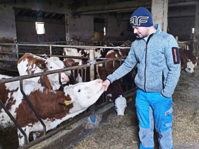 Tomislavgrad jedan od najvećih proizvođača kravljeg mlijeka u FBiH