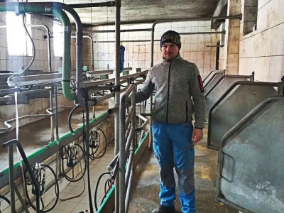 Tomislavgrad jedan od najvećih proizvođača kravljeg mlijeka u FBiH