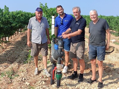 TOPLINSKI VAL - Kako je  Colićev sustav spasio vinograd Bože Bačića