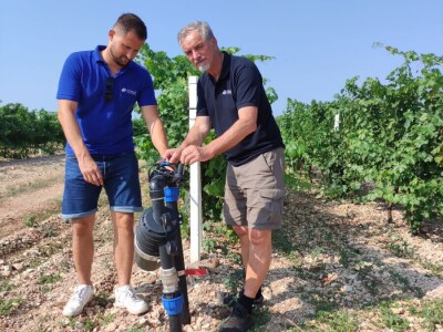 TOPLINSKI VAL - Kako je  Colićev sustav spasio vinograd Bože Bačića