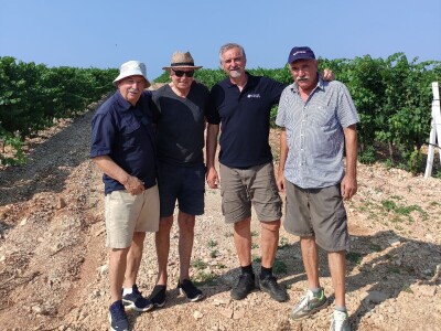 TOPLINSKI VAL - Kako je  Colićev sustav spasio vinograd Bože Bačića