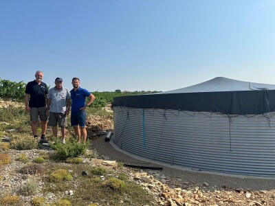 TOPLINSKI VAL - Kako je  Colićev sustav spasio vinograd Bože Bačića