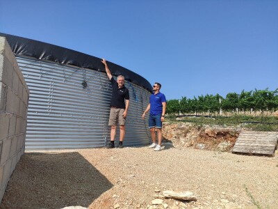 TOPLINSKI VAL - Kako je  Colićev sustav spasio vinograd Bože Bačića