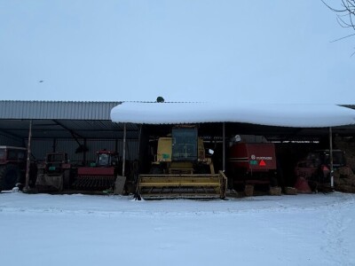 Tov holštajn bikova na Milanovoj farmi u Obrovcu