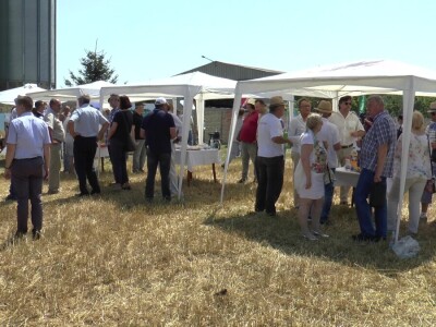 Tradicionalna manifestacija "Žetveni dan" u Čurugu